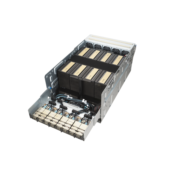 NTS Elite APEX 9U AI and HPC Server Featuring Dual Xeon a...